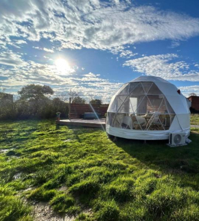 Berry Dome